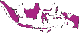 Контури Індонезії