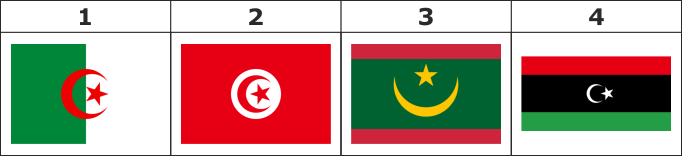 Прапори країн Африки2