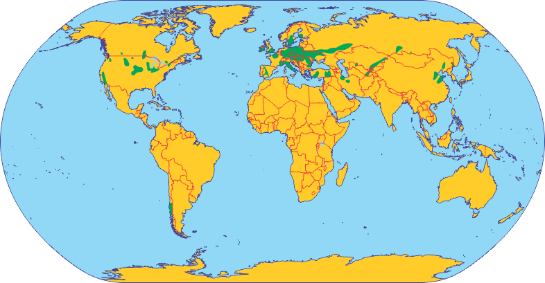 Райони вирощування цукрового буряка у світі