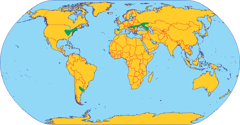 Райони вирощування соняшнику у світі