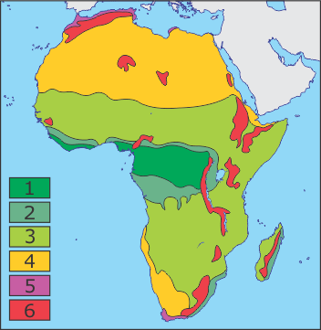 Природні зони Африки