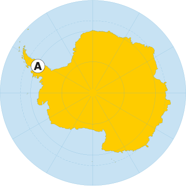 Антарктичний півострів