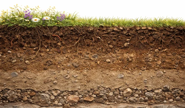 Значення ґрунтів у природі й життєдіяльності людей